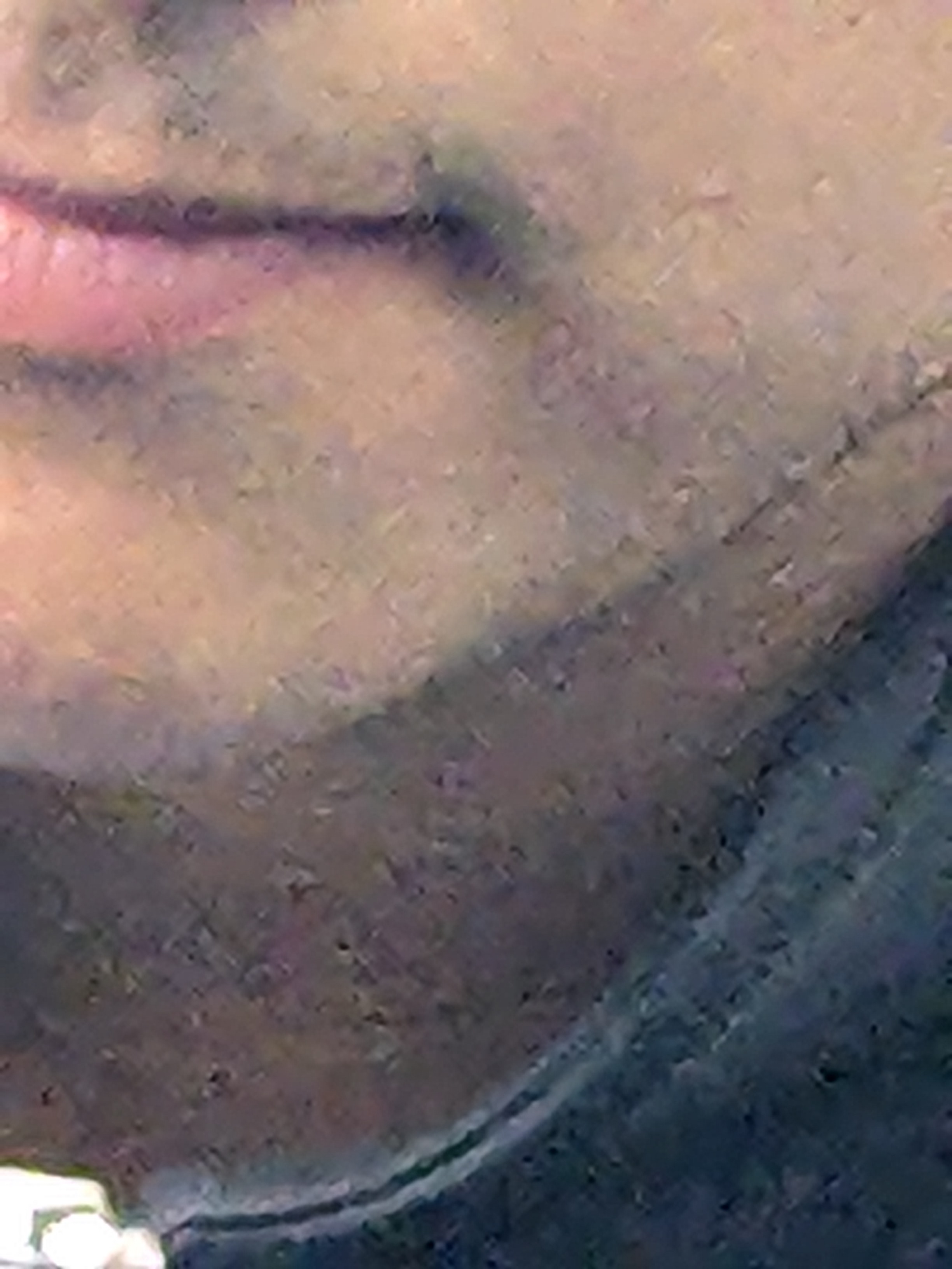 Dario Peña