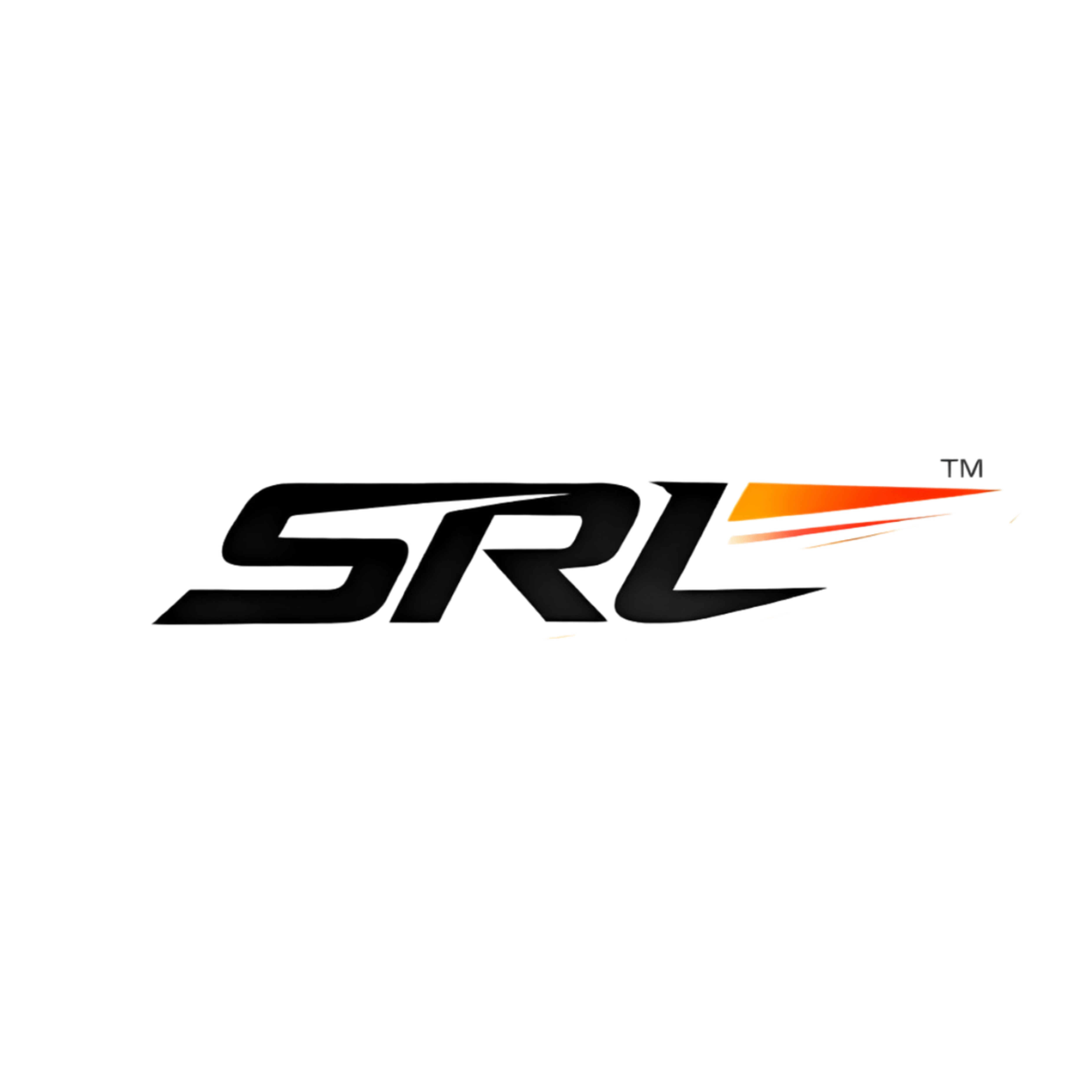 SRL™ Simracing team